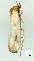 ( - gvc8547-1L)  @13 [ ] Copyright (2004) Unspecified Unspecified