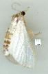  ( - gvc8559-1L)  @12 [ ] Copyright (2004) Unspecified Unspecified