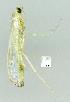  ( - gvc8560-1L)  @12 [ ] Copyright (2004) Unspecified Unspecified