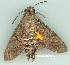  ( - gvc10646-1L)  @11 [ ] Copyright (2004) Unspecified Unspecified