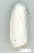  ( - gvc10760-1L)  @12 [ ] Copyright (2004) Unspecified Unspecified