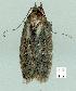  ( - gvc10878-1L)  @12 [ ] Copyright (2004) Unspecified Unspecified