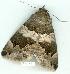  ( - gvc11030-1L)  @11 [ ] Copyright (2004) Unspecified Unspecified