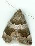  ( - gvc11031-1L)  @11 [ ] Copyright (2004) Unspecified Unspecified