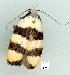  ( - gvc11033-1L)  @13 [ ] Copyright (2004) Unspecified Unspecified