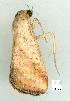  ( - gvc8598-1L)  @12 [ ] Copyright (2004) Unspecified Unspecified