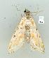  ( - gvc8648-1L)  @13 [ ] Copyright (2004) Unspecified Unspecified