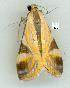  ( - gvc8653-1L)  @12 [ ] Copyright (2004) Unspecified Unspecified