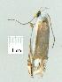  ( - gvc8656-1L)  @12 [ ] Copyright (2004) Unspecified Unspecified