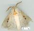  ( - gvc8721-1L)  @13 [ ] Copyright (2004) Unspecified Unspecified