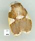 ( - gvc8724-1L)  @12 [ ] Copyright (2004) Unspecified Unspecified