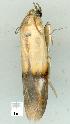  ( - gvc8756-1L)  @12 [ ] Copyright (2004) Unspecified Unspecified