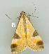  ( - gvc8808-1L)  @12 [ ] Copyright (2004) Unspecified Unspecified