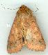  ( - gvc8828-1L)  @13 [ ] Copyright (2004) Unspecified Unspecified