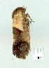  ( - gvc8829-1L)  @12 [ ] Copyright (2004) Unspecified Unspecified