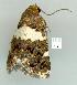  ( - gvc8867-1L)  @13 [ ] Copyright (2004) Unspecified Unspecified