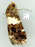  ( - gvc8949-1L)  @13 [ ] Copyright (2004) Unspecified Unspecified