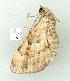  ( - gvc8951-1L)  @12 [ ] Copyright (2004) Unspecified Unspecified