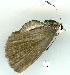  ( - gvc8964-1L)  @13 [ ] Copyright (2004) Unspecified Unspecified