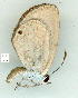  ( - gvc8990-1L)  @12 [ ] Copyright (2004) Unspecified Unspecified