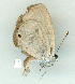  ( - gvc8991-1L)  @12 [ ] Copyright (2004) Unspecified Unspecified