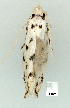  ( - gvc9000-1L)  @13 [ ] Copyright (2004) Unspecified Unspecified