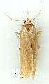  ( - gvc9016-1L)  @12 [ ] Copyright (2004) Unspecified Unspecified