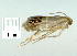  ( - gvc9022-1L)  @12 [ ] Copyright (2004) Unspecified Unspecified