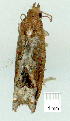  ( - gvc9026-1L)  @12 [ ] Copyright (2004) Unspecified Unspecified