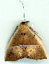  ( - gvc9037-1L)  @12 [ ] Copyright (2004) Unspecified Unspecified