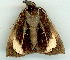  ( - gvc9037-1L)  @12 [ ] Copyright (2004) Unspecified Unspecified