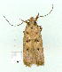  ( - gvc9047-1L)  @12 [ ] Copyright (2004) Unspecified Unspecified