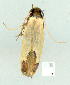  ( - gvc9090-1L)  @13 [ ] Copyright (2004) Unspecified Unspecified