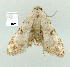  ( - gvc9104-1L)  @13 [ ] Copyright (2004) Unspecified Unspecified