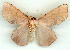  ( - gvc9122-1L)  @14 [ ] Copyright (2004) Unspecified Unspecified