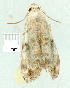  ( - gvc9123-1L)  @12 [ ] Copyright (2004) Unspecified Unspecified