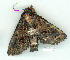  ( - gvc9135-1L)  @12 [ ] Copyright (2004) Unspecified Unspecified