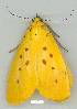  ( - gvc9208-1L)  @12 [ ] Copyright (2004) Unspecified Unspecified