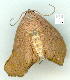  ( - gvc9232-1L)  @13 [ ] Copyright (2004) Unspecified Unspecified