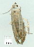  ( - gvc9255-1L)  @12 [ ] Copyright (2004) Unspecified Unspecified