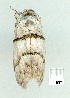  ( - gvc9279-1L)  @12 [ ] Copyright (2004) Unspecified Unspecified