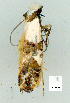  ( - gvc9292-1L)  @13 [ ] Copyright (2004) Unspecified Unspecified