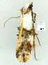  ( - gvc9328-1L)  @13 [ ] Copyright (2004) Unspecified Unspecified