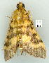  ( - gvc9375-1L)  @11 [ ] Copyright (2004) Unspecified Unspecified