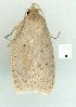  ( - gvc9429-1L)  @12 [ ] Copyright (2004) Unspecified Unspecified
