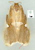  ( - gvc9459-1L)  @13 [ ] Copyright (2004) Unspecified Unspecified