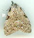  ( - gvc9482-1L)  @12 [ ] Copyright (2004) Unspecified Unspecified