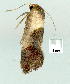  ( - gvc9485-1L)  @12 [ ] Copyright (2004) Unspecified Unspecified
