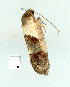  ( - gvc9629-1L)  @12 [ ] Copyright (2004) Unspecified Unspecified