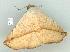  ( - gvc9841-1L)  @14 [ ] Copyright (2004) Unspecified Unspecified